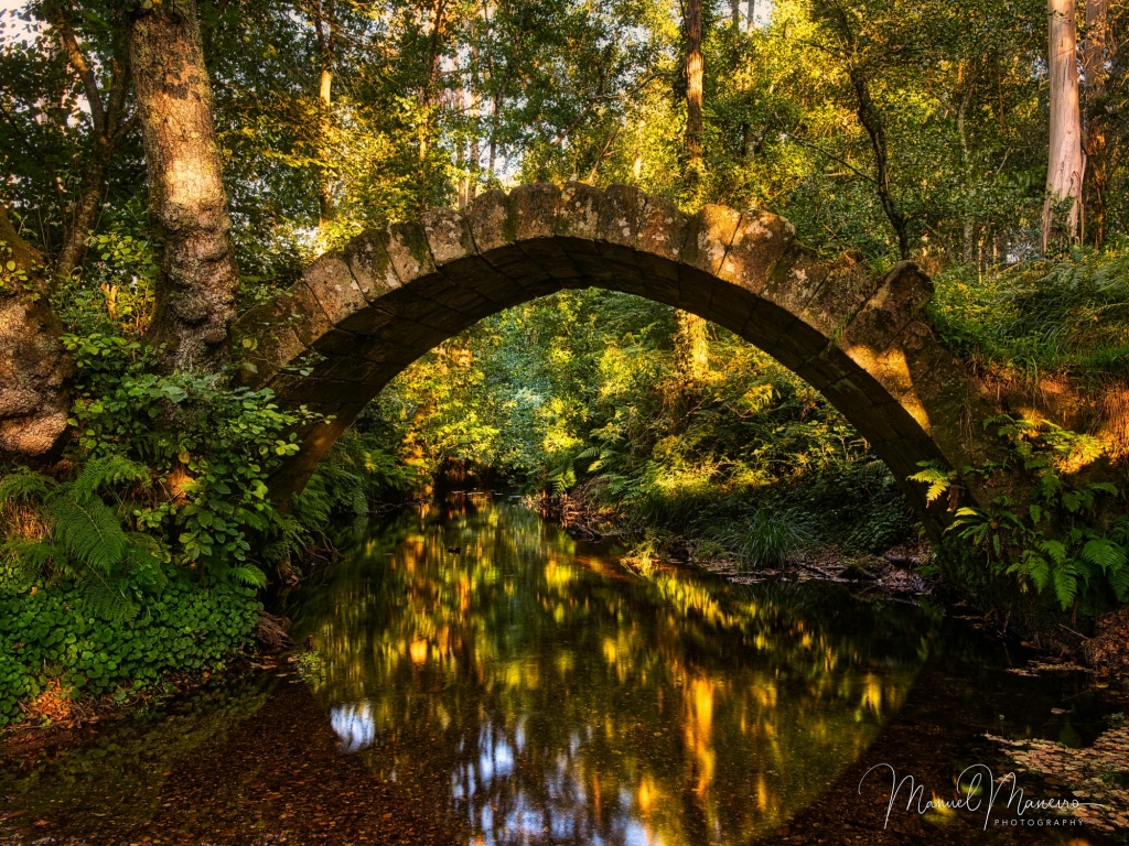 0637 Ancient Bridge Golden Forest Photography ©Manuel Maneiro