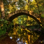 0637 Ancient Bridge Golden Forest Photography ©Manuel Maneiro